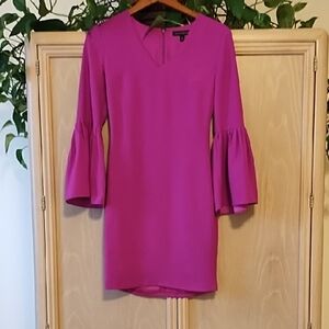 Banana Republic Pink Sheath Dress with Bell Sleeves